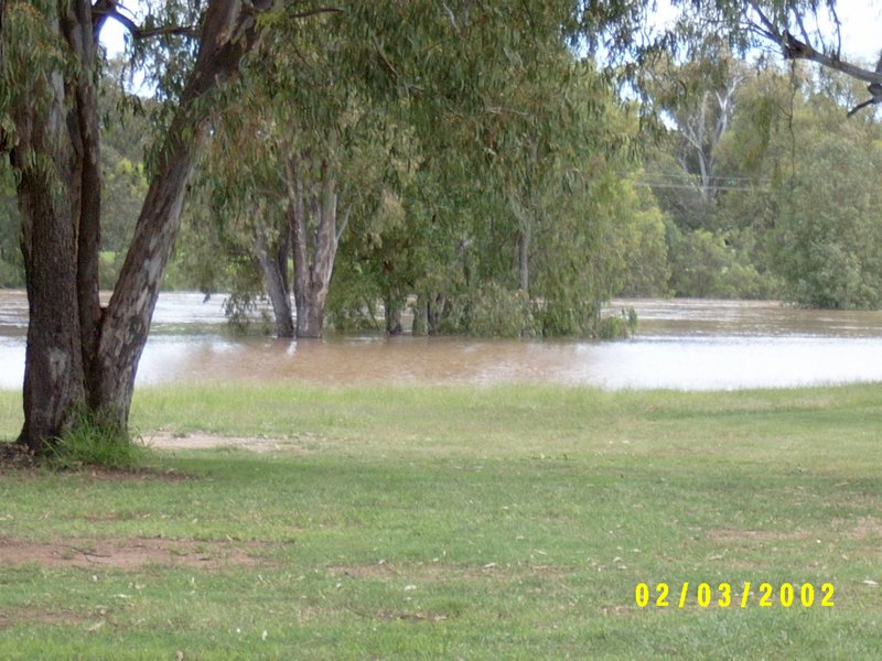 63  7-12-2010   The water rising at Narrabri