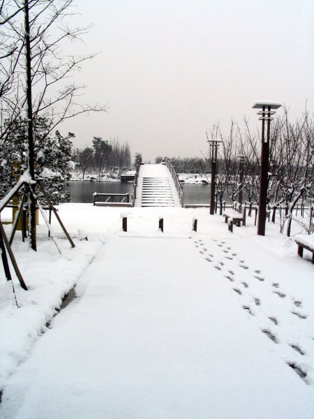 Bridge in snow