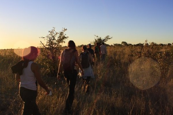 hike in the okovanga