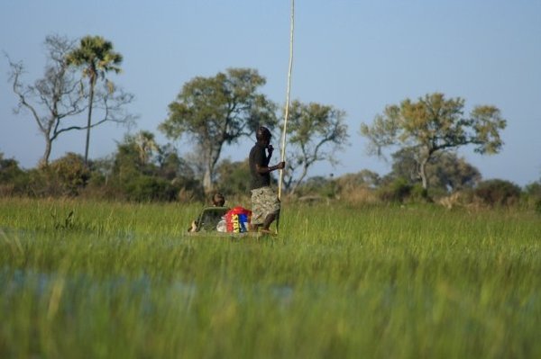 okavanga delta