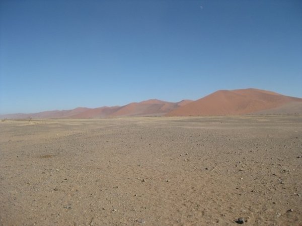 We took a walk in the Namib desert. 5 people, 4 hours, 1 bottle of water and two apple and custard sweets. Not a good idea