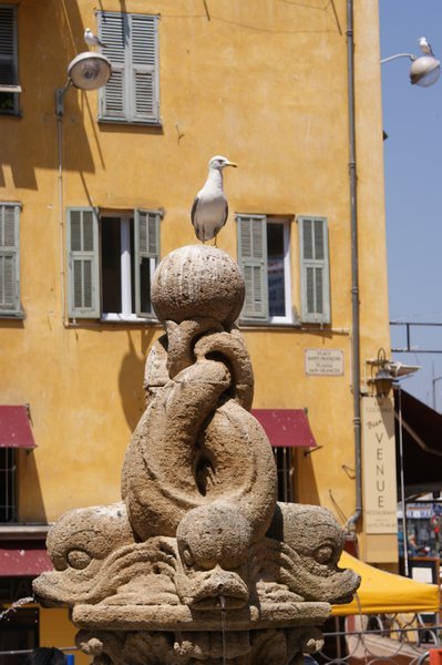 Seagull and statue in the old town
