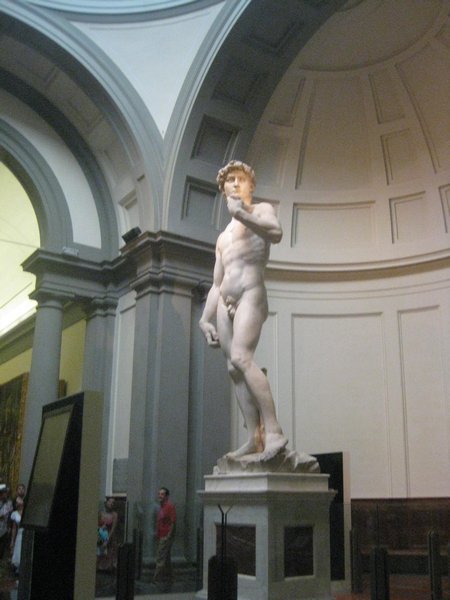 The Great David statue in Florence