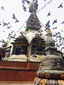 stupa with pigeons