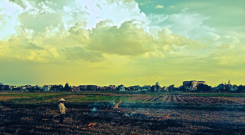 Rice fields burning in preparation for the next season