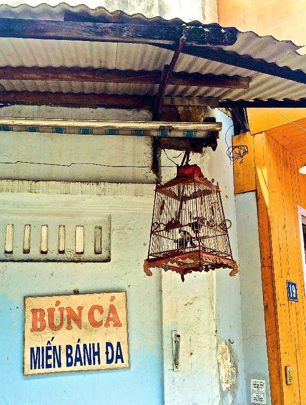 birds in cages everywhere in hanoi
