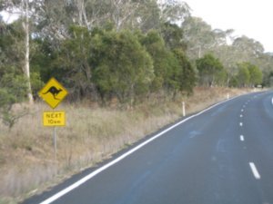 Obligatory Kangaroo Sign