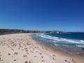 Bondi Beach morning