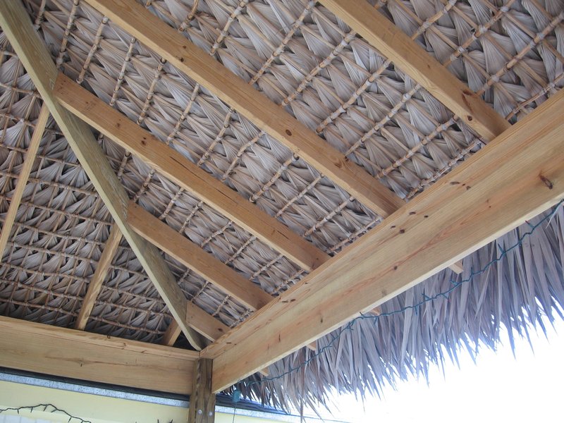 Palm Thatch Roof Photo