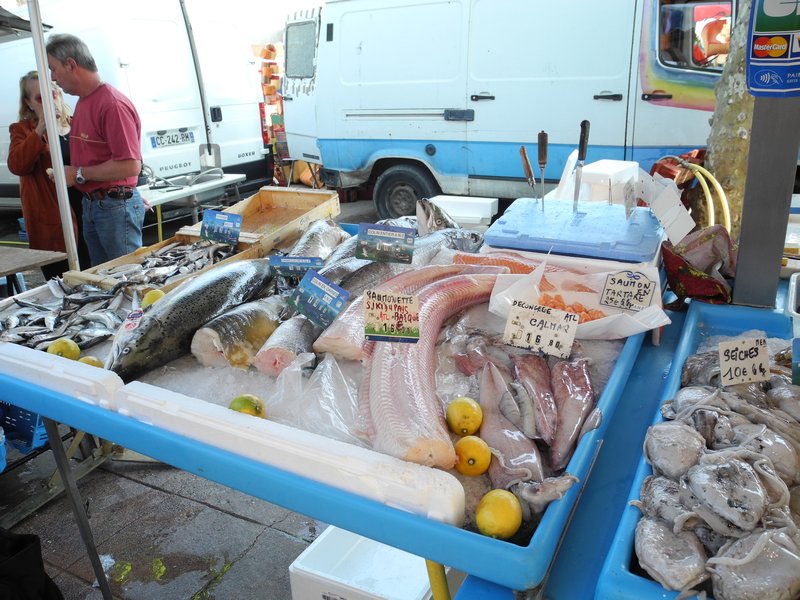 Fresh Fish Stands