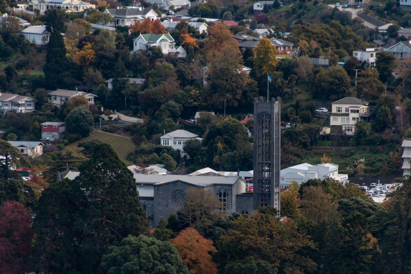 Overlooking Nelson Cathedral