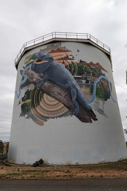 Narrandera’s painted water tower