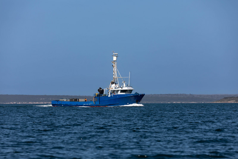 Tuna Boat returning to port