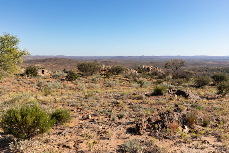 Living Desert view