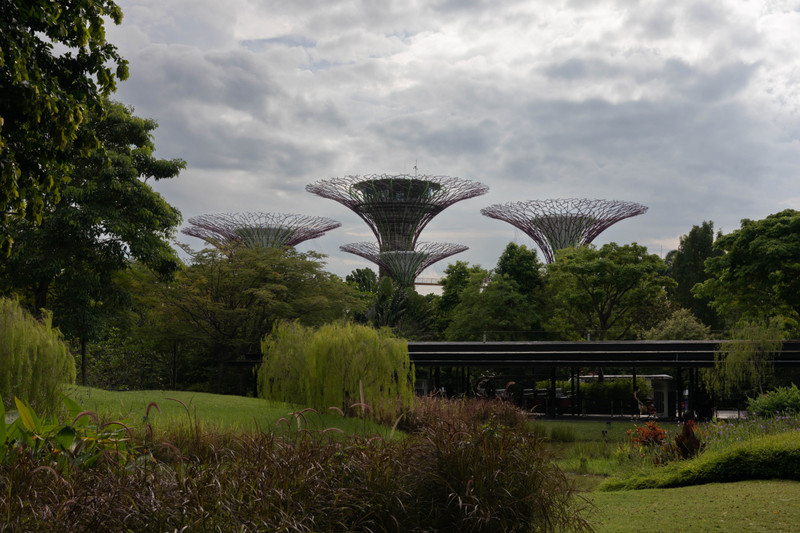 Looking towards the Supertree Grove, Gardens by the Bay