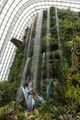 The Cloud Forest waterfall