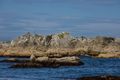 Crazy rocks at the Kaikoura Seal Colony