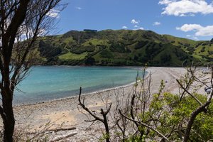 Looking across Cable Bay towards Pepin Island
