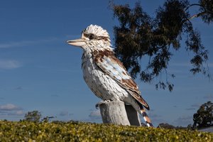 The Big Kookaburra, Kurri Kurri NSW
