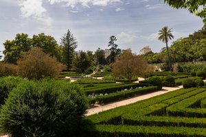 Jardim Botanico da Ajuda
