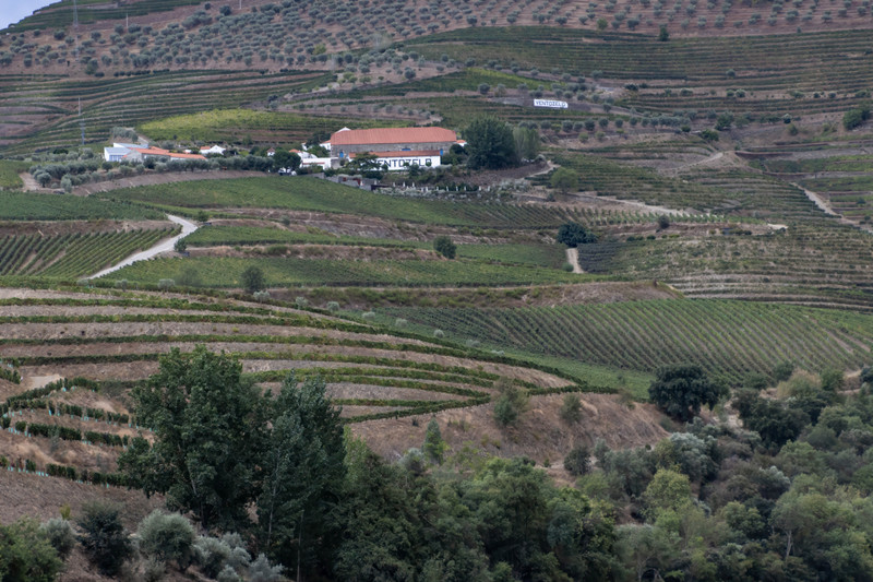 Views from the Douro River cruise