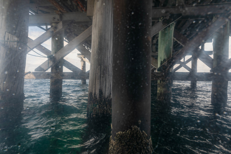 Under the jetty