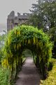 Blarney Castle and Bower