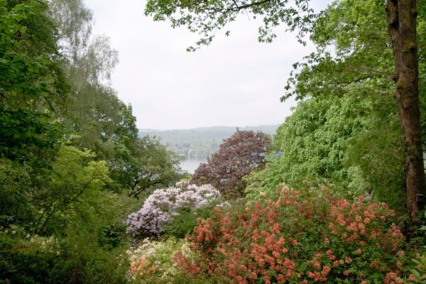 Lake Windermere from Stagshaw Garden