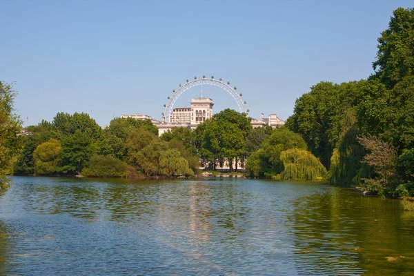 The London Eye from St James Park