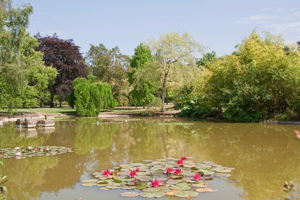 The Water Garden, Cliveden