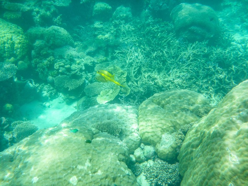 Agincourt Reef
