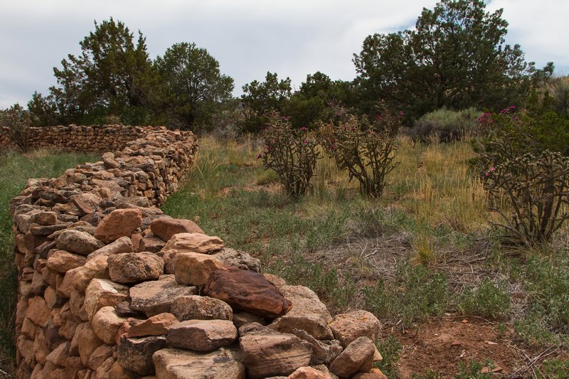 Pueblo Wall at Pecos National Historic Park
