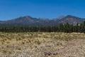 San Francisco Peaks from Coconino Forest 