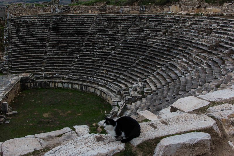 Aphrodisias Theatre