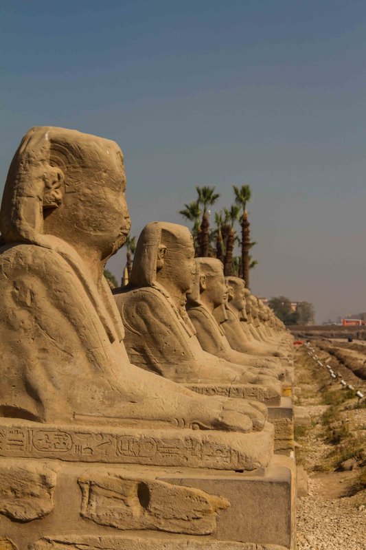 Avenue of the Sphinx