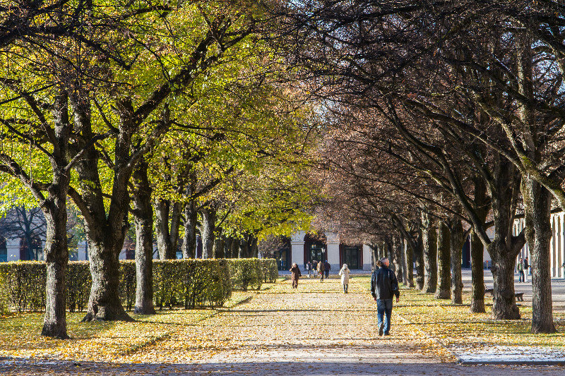 Late autumn, Munich
