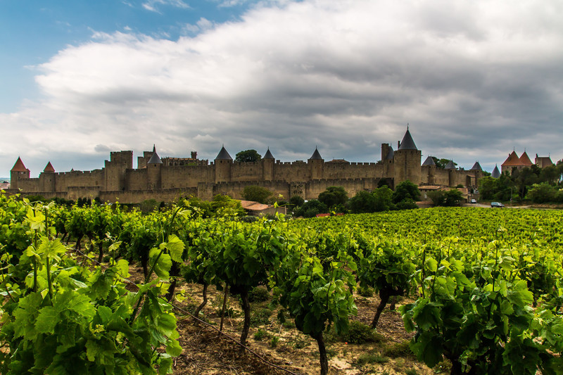 Carcassonne vineyard view