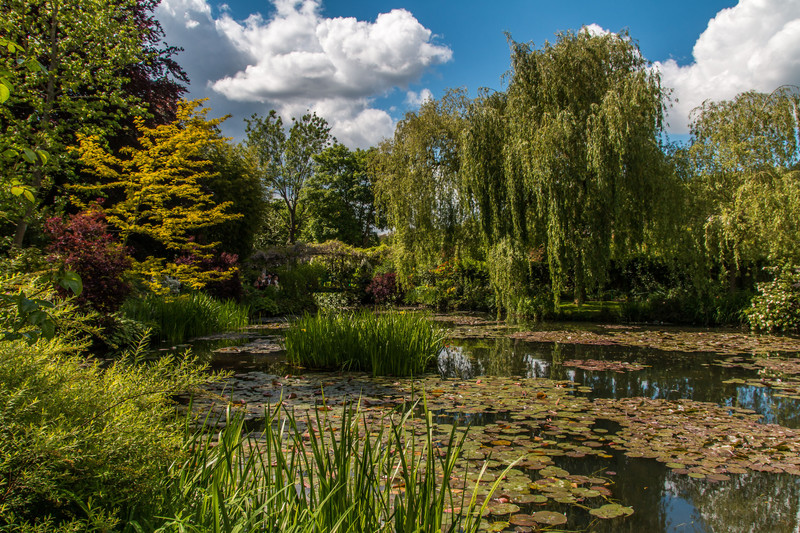 Monet's  Water Garden 