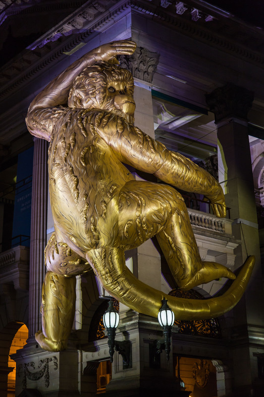 Monkey on the town hall