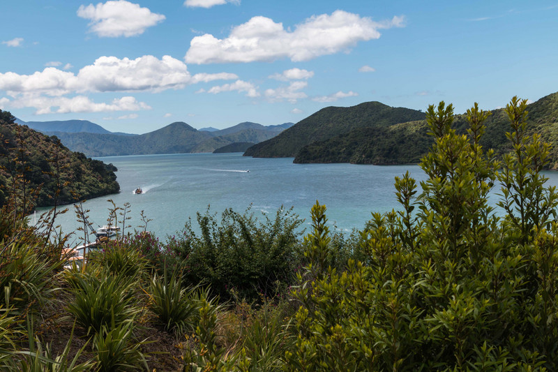 Down the sound from the Picton viewpoint