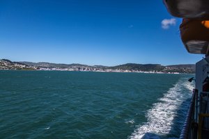Farewell Wellington