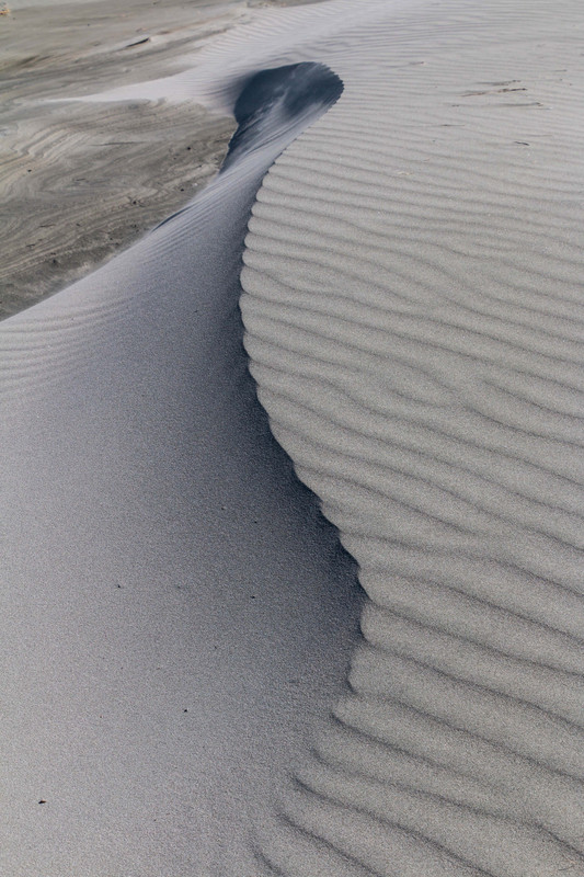 Wind blown sand