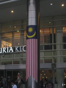 the malaysian flag