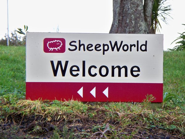 Sheep World... aka New Zealand