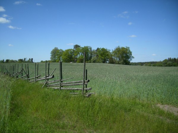 Typical Smaland fence