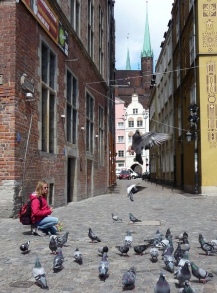 Ania and pigeons