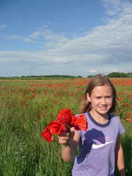 Ania and poppies