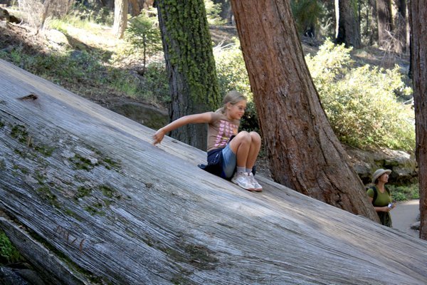 Ania on the fallen tree