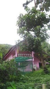 Chiang Rai to Akha Hill House