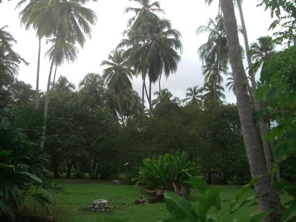 Tayrona Park